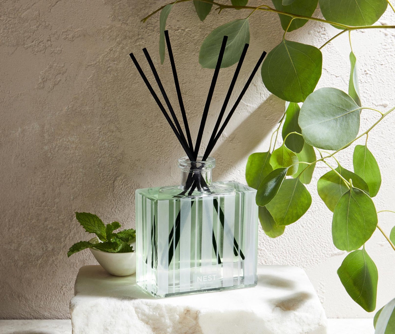 Wild Mint & Eucalyptus Reed Diffuser – Driftwood Boutique